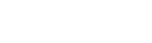 Professional Technicians 1